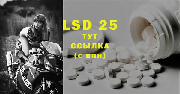 PSILOCYBIN Баксан