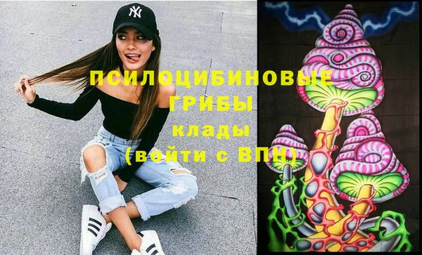 PSILOCYBIN Баксан