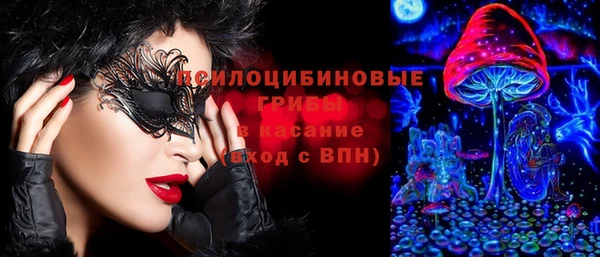 PSILOCYBIN Баксан