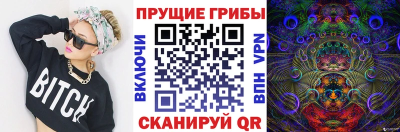 Псилоцибиновые грибы Magic Shrooms  магазин продажи наркотиков  Озёры 